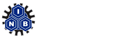 NIB PLC Logo